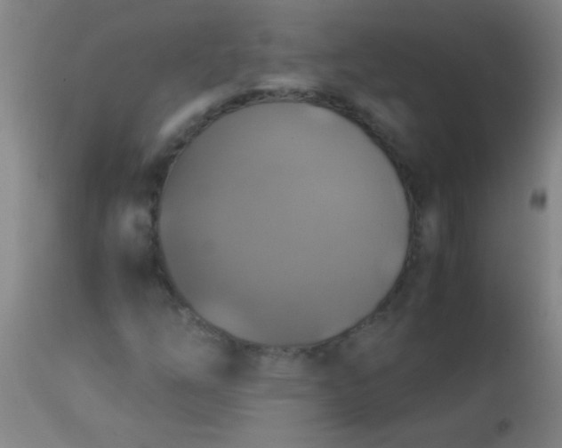 X0000114171254200910221643