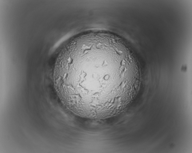 X0000114171255200910221642