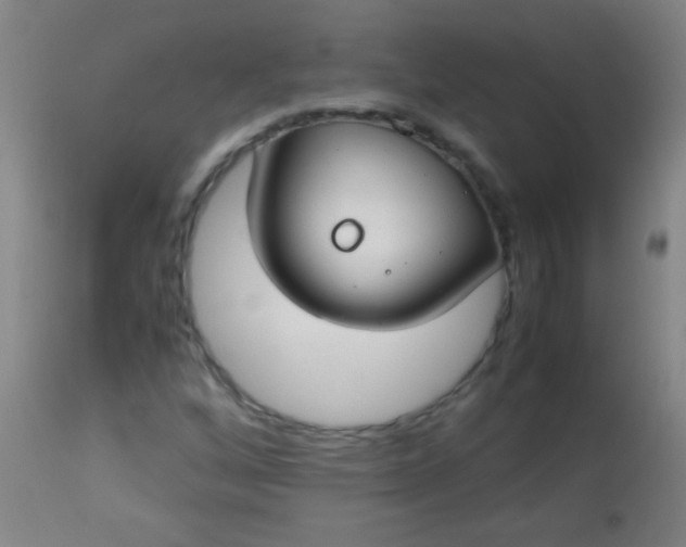 X0000114171256200910221642