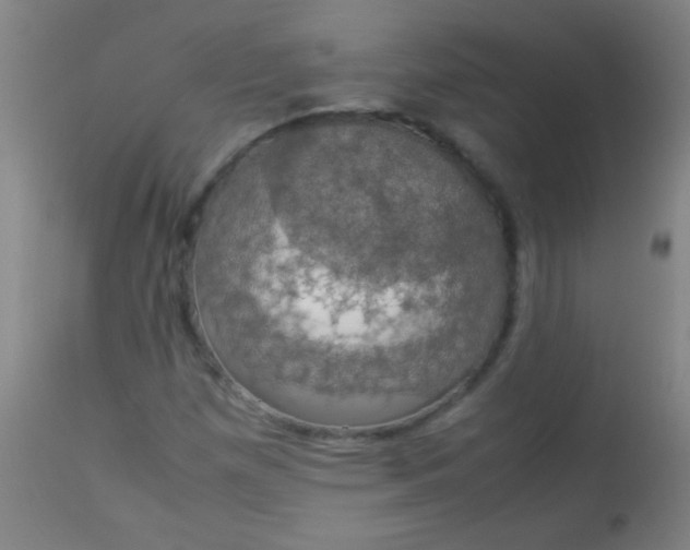 X0000114171257200910221642