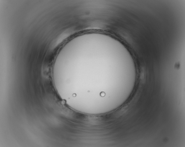 X0000114171258200910221642