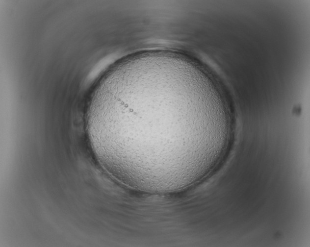 X0000114171259200910221642