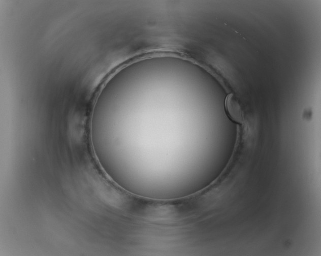 X0000114171260200910221642