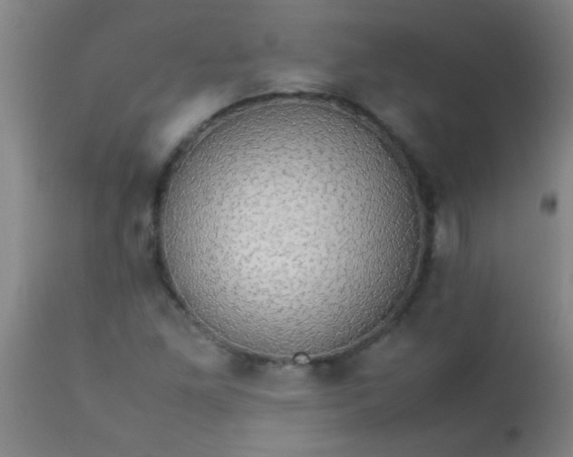 X0000114171261200910221642