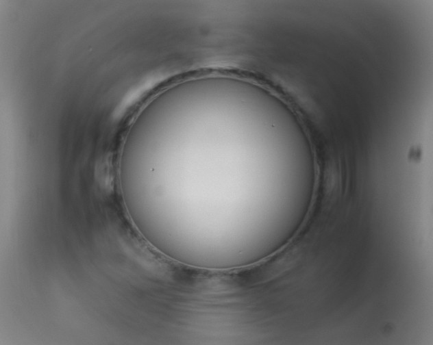 X0000114171262200910221642