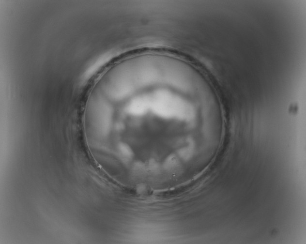 X0000114171263200910221642