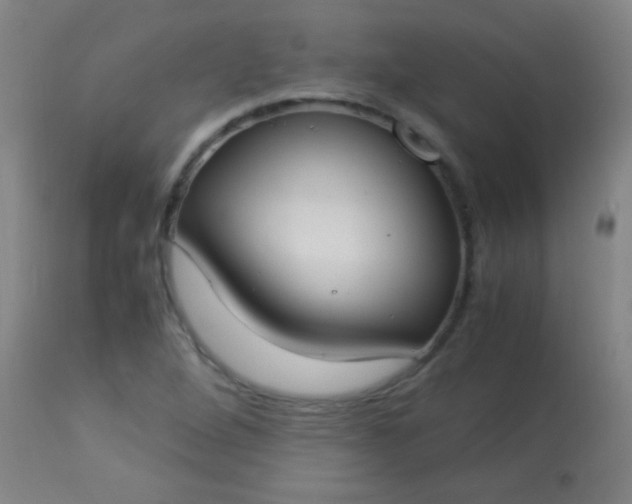 X0000114171264200910221642