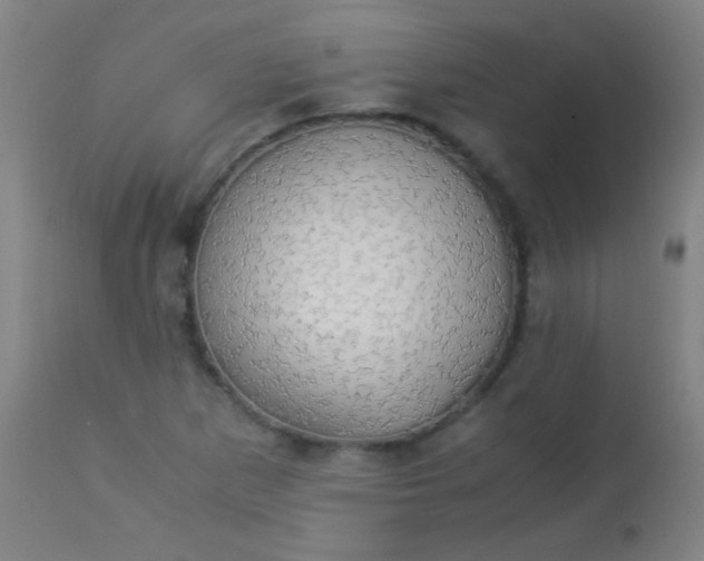 X0000114171265200910221642