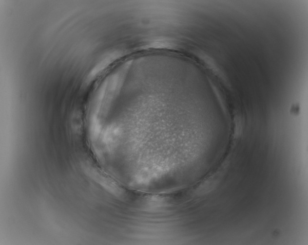 X0000114171266200910221642