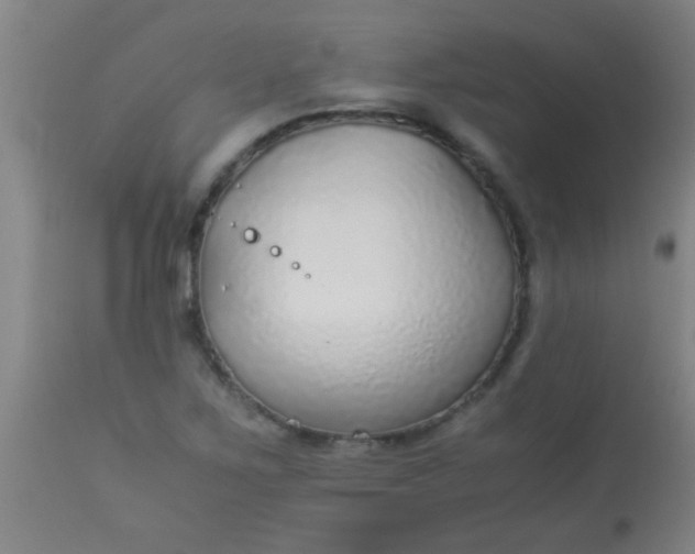 X0000114171267200910221642