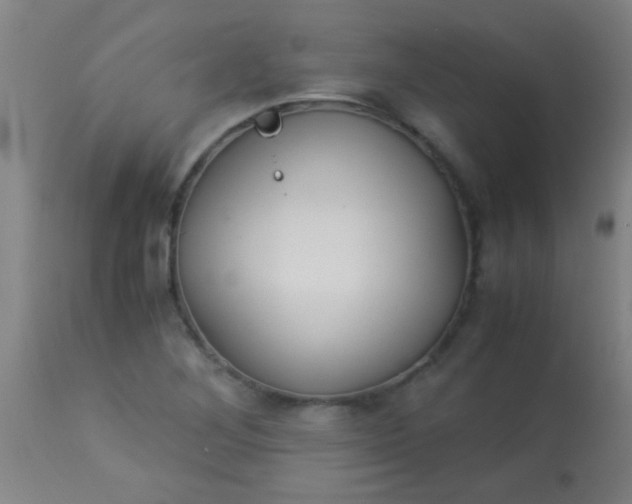 X0000114171268200910221642