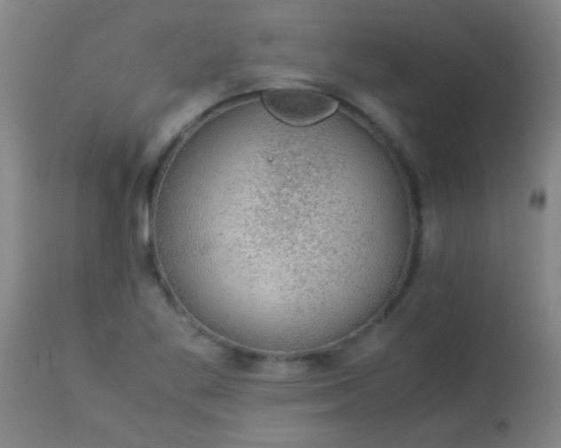 X0000114171269200910221642