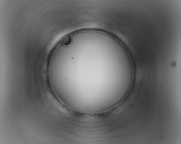 X0000114171270200910221642