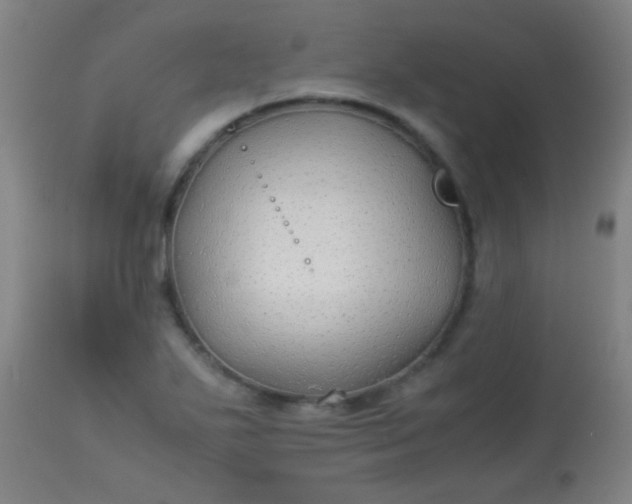 X0000114171271200910221642