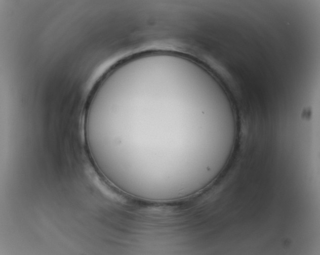 X0000114171272200910221642