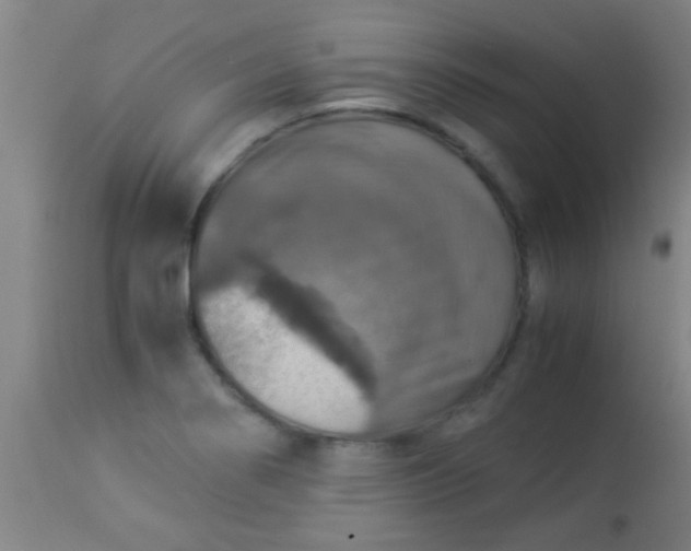 X0000114171274200910221642