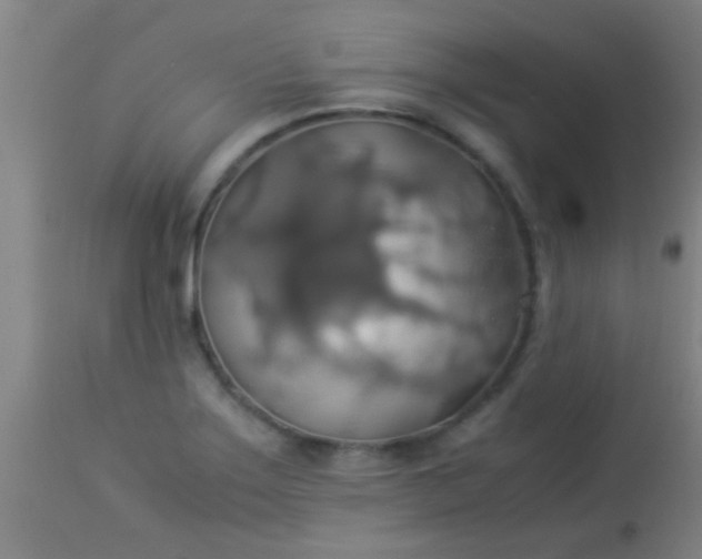 X0000114171275200910221642