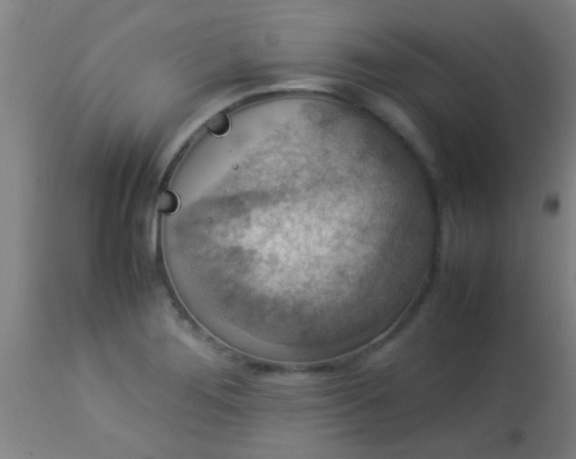 X0000114171276200910221642