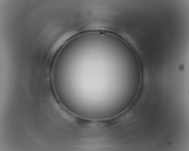 X0000114171277200910221642