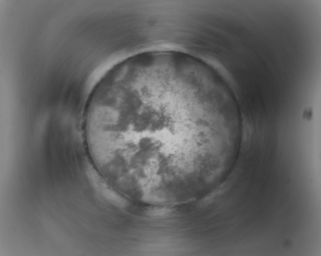 X0000114171278200910221642