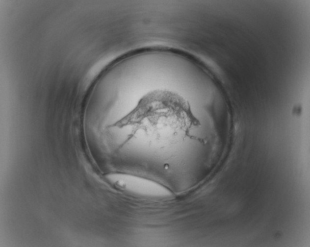 X0000114171279200910221642