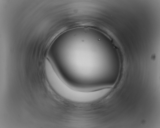 X0000114171281200910221642