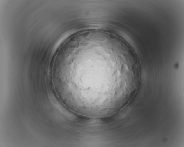 X0000114171283200910221642