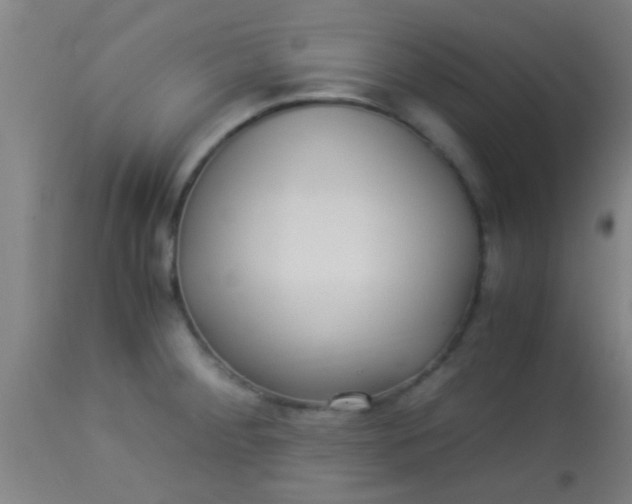 X0000114171284200910221642