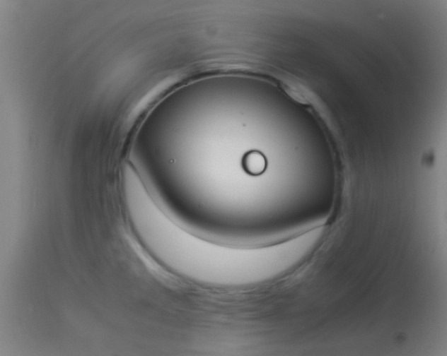 X0000114171285200910221642