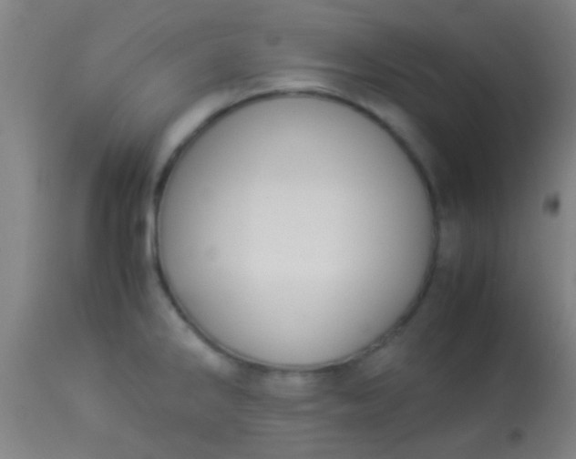 X0000114171286200910221642