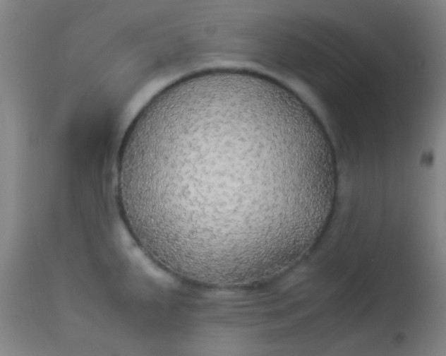 X0000114171287200910221642