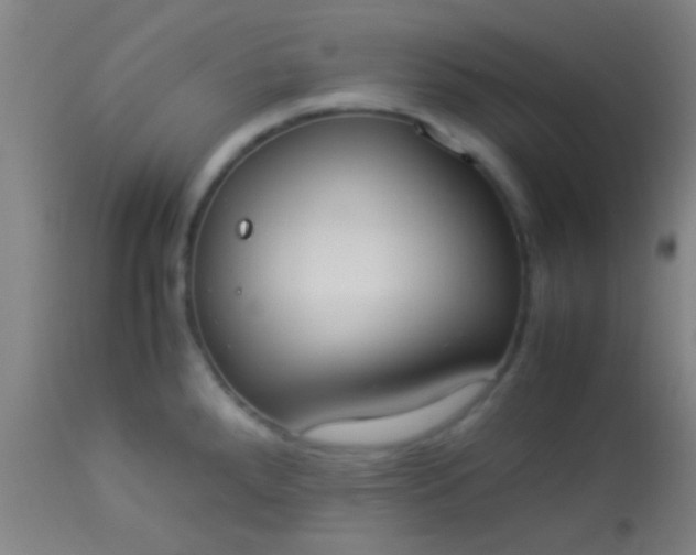 X0000114171288200910221642