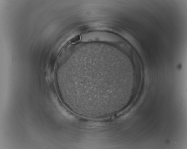 X0000114171289200910221642