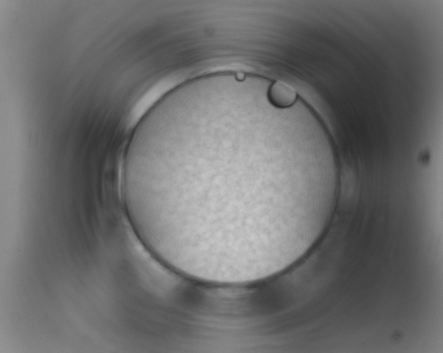 X0000114171290200910221642