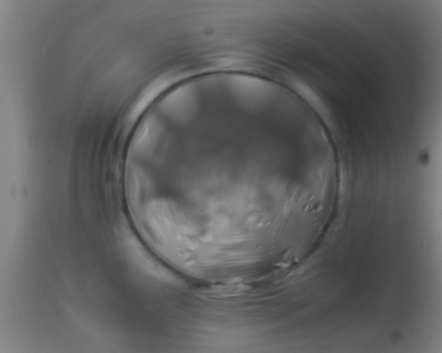 X0000114171291200910221642