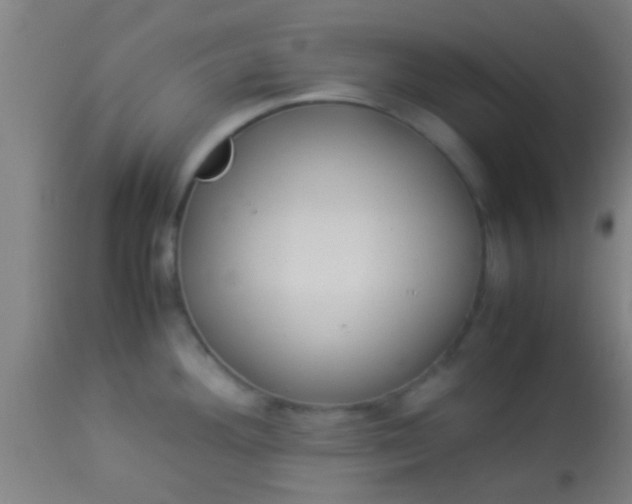 X0000114171292200910221642