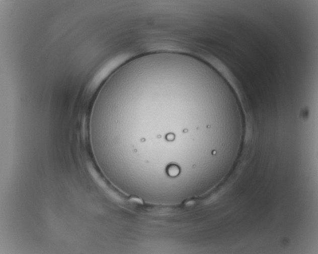 X0000114171293200910221642