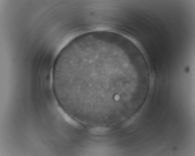 X0000114171294200910221642