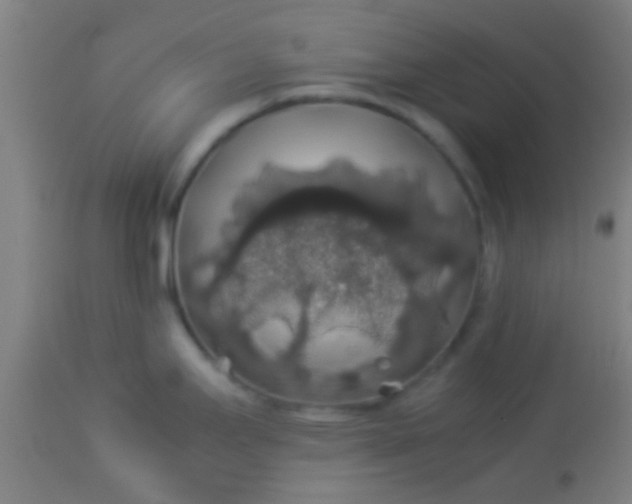 X0000114171295200910221642