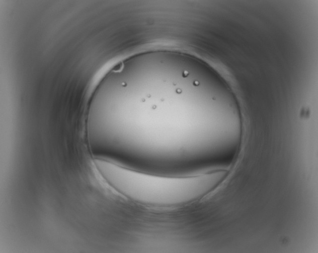 X0000114171296200910221642