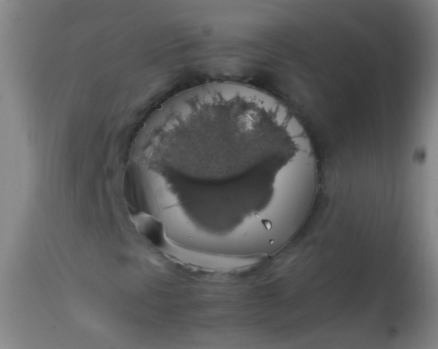 X0000114171297200910221641