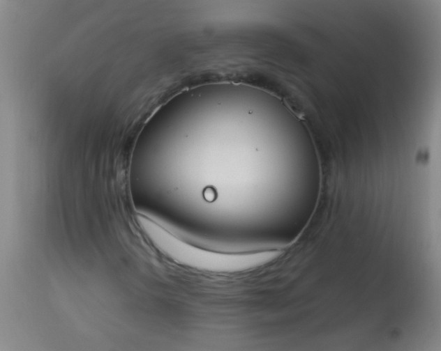 X0000114171298200910221641