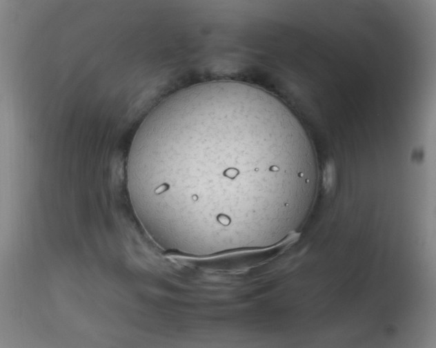 X0000114171299200910221641