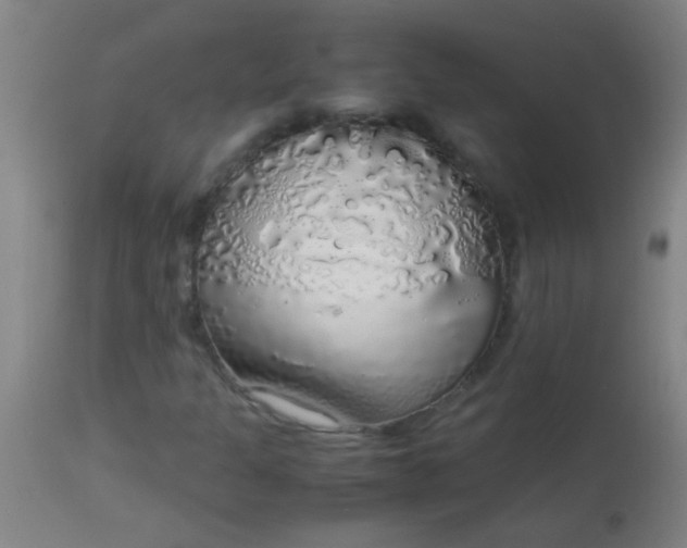 X0000114171301200910221641