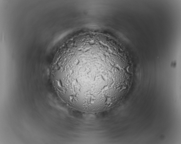 X0000114171302200910221641