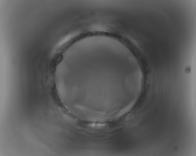 X0000114171303200910221641