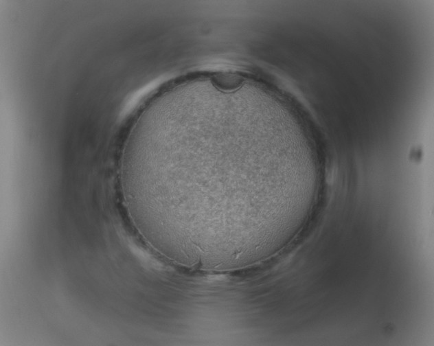 X0000114171304200910221641