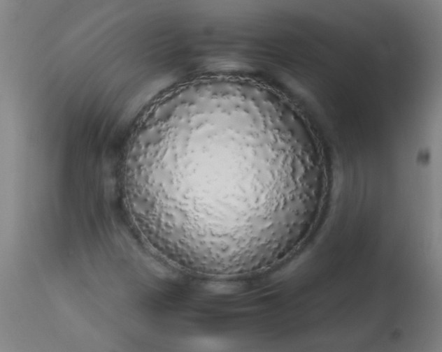 X0000114171305200910221641