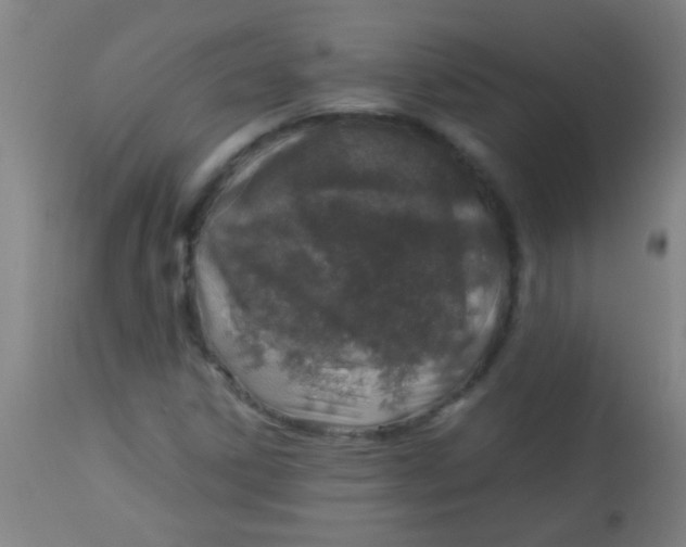 X0000114171306200910221641