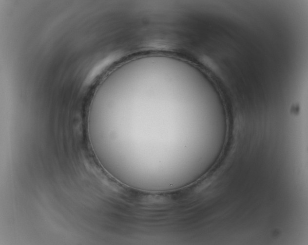 X0000114171307200910221641